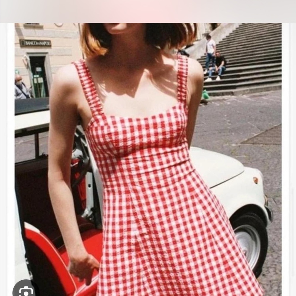Zara Picnic Dress 🍎
